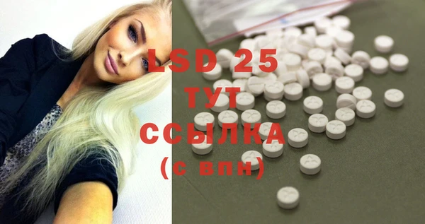 дживик Белокуриха